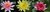 Seerosenangebot - 3 Sorten winterharte Seerosen